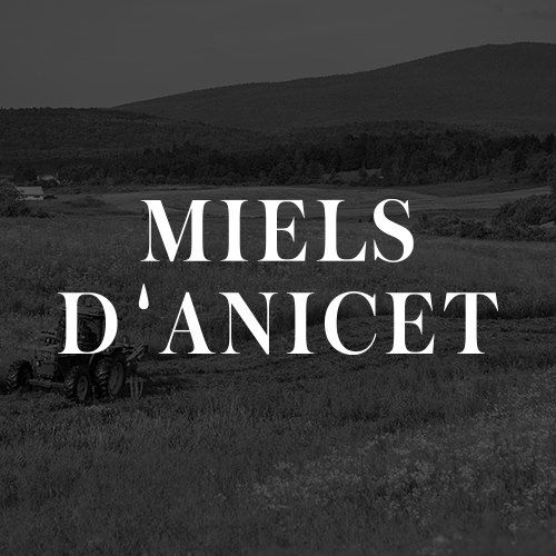 Logo - Miels d&rsquo;Anicet