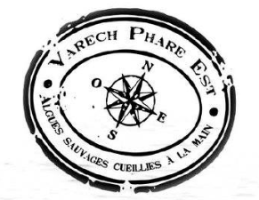 Varech Phare Est, Algues