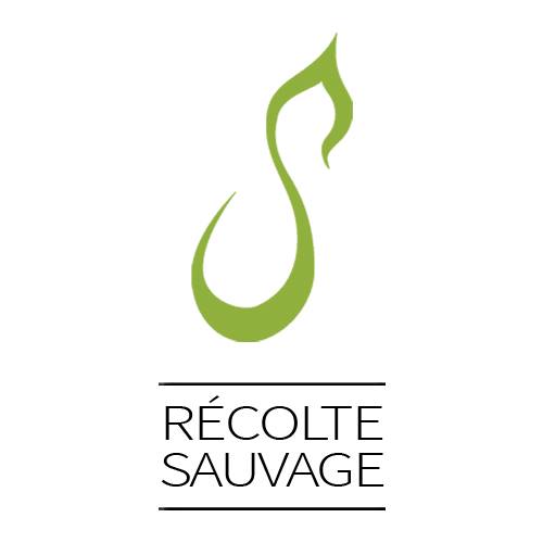 Logo - Récolte Sauvage