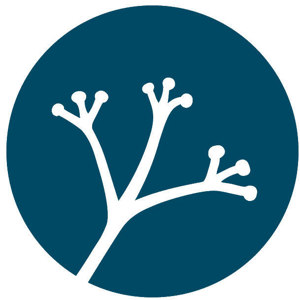 Logo - Réseau des femmes en environnement