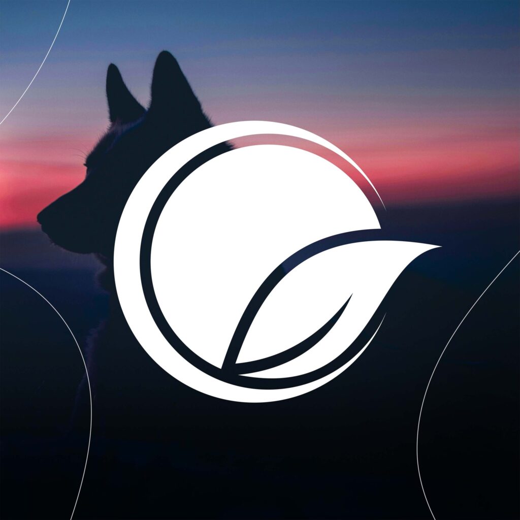 Logo - Conseil régional de l’environnement et du développement durable de l’Outaouais