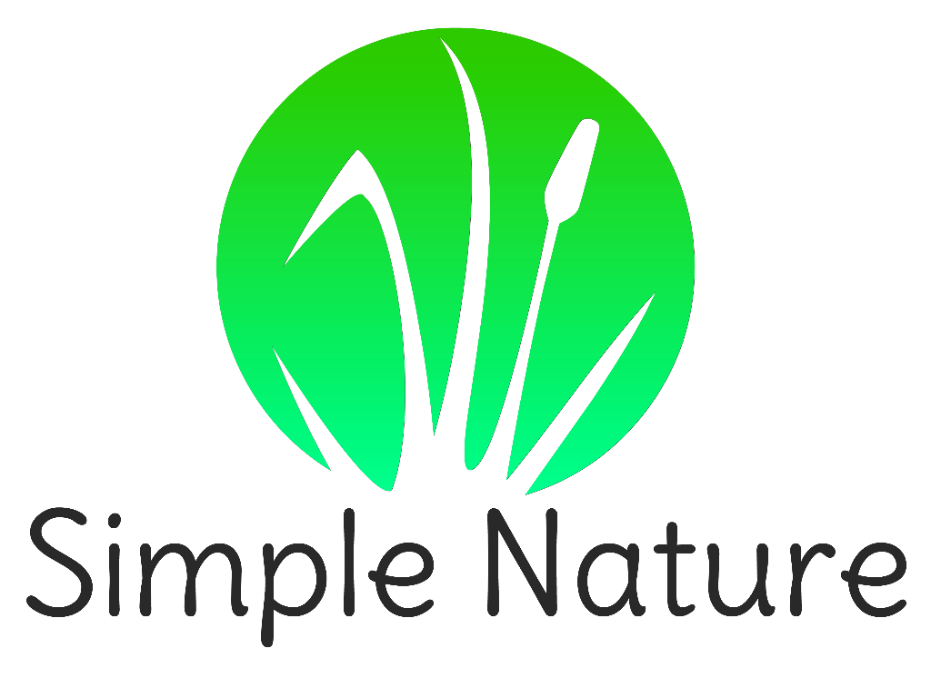 Logo - Simple Nature