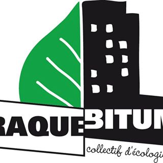 Logo - Craque-Bitume