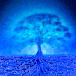 Le Chêne aux Pieds Bleus