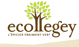 Logo - EcollegeY