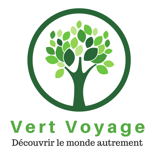 Logo - Vert voyage