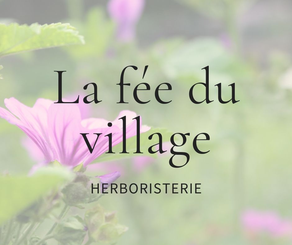 Logo - La fée du village