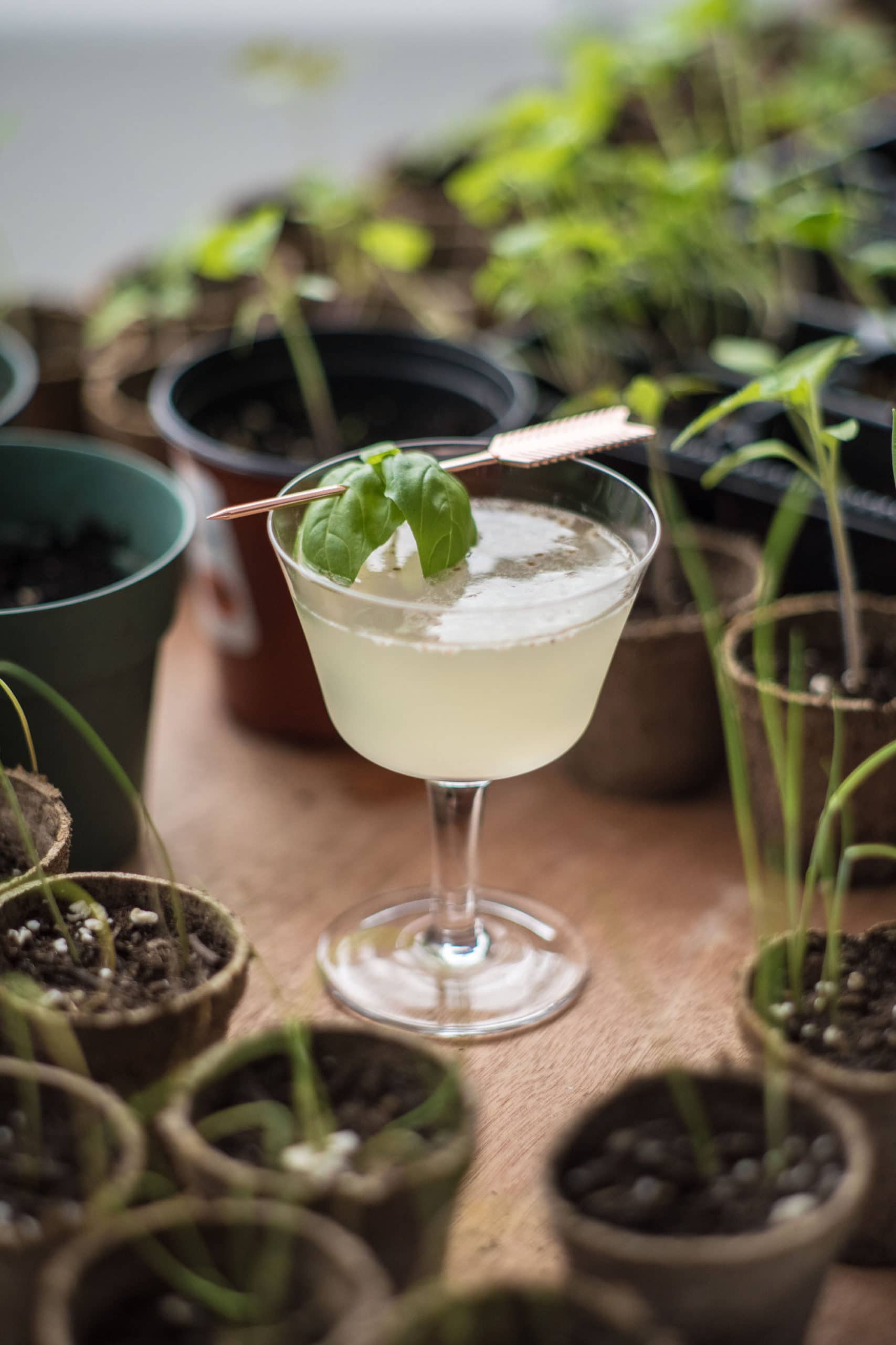the-little-gardener’s-cocktail