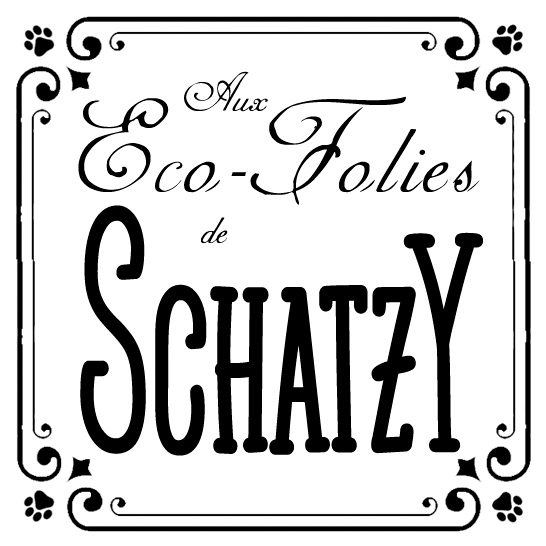 Logo - Aux Eco-Folies de Schatzy