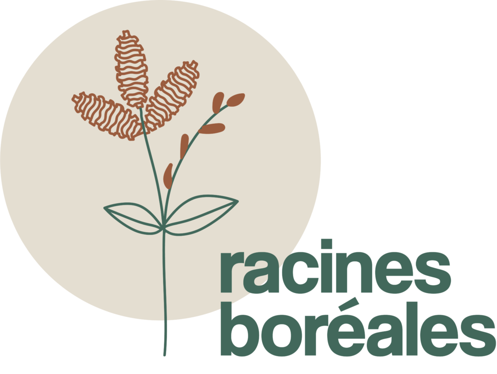 Logo - Racines boréales