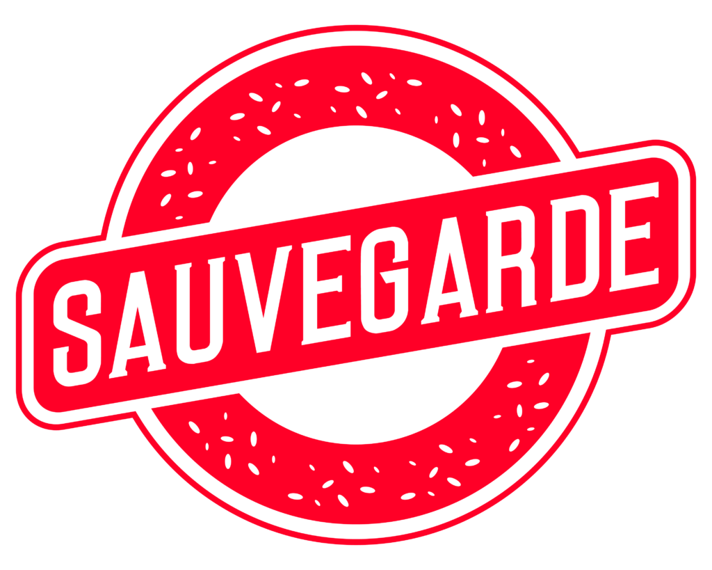 Logo - Sauvegarde