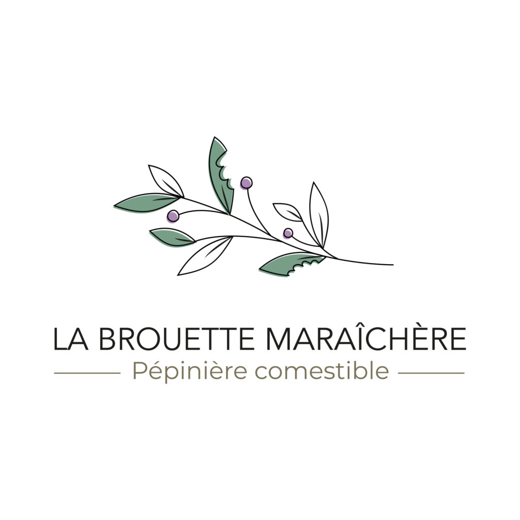 Logo - La Brouette Maraîchère