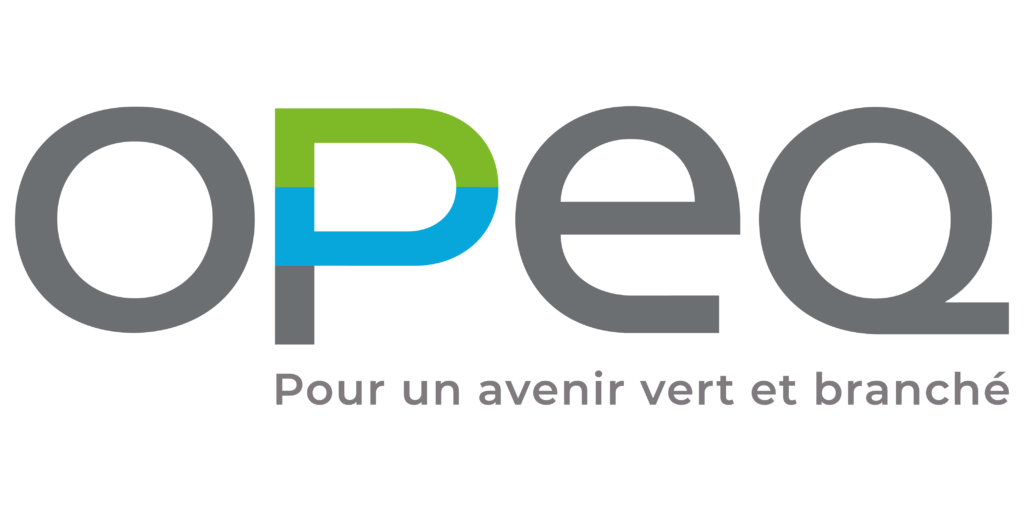 Logo - OPEQ