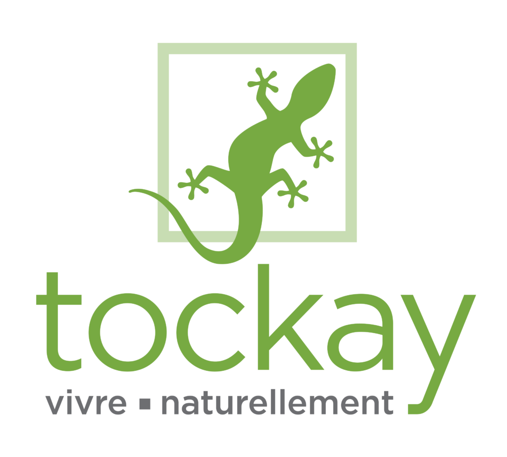 Logo - Distribution Tockay inc.