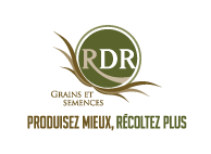 Logo - RDR Grains et Semences