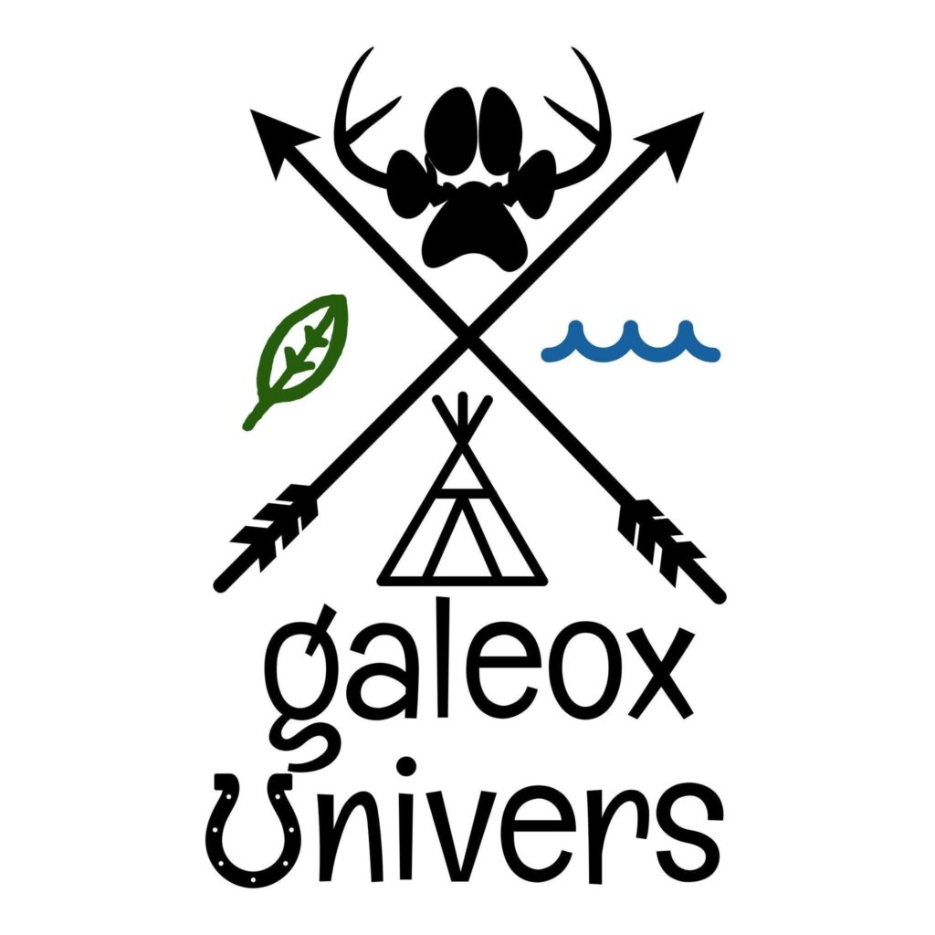 Logo - Galeox Univers