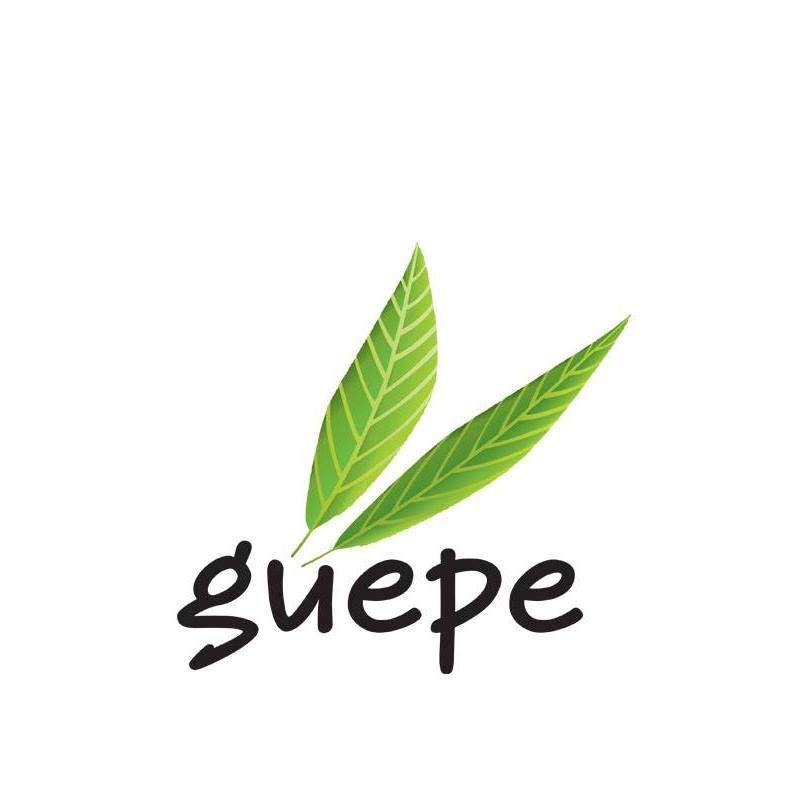 Logo - GUEPE