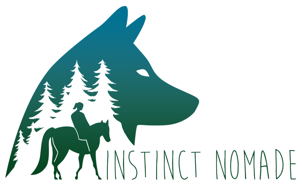 Logo - Instinct Nomade