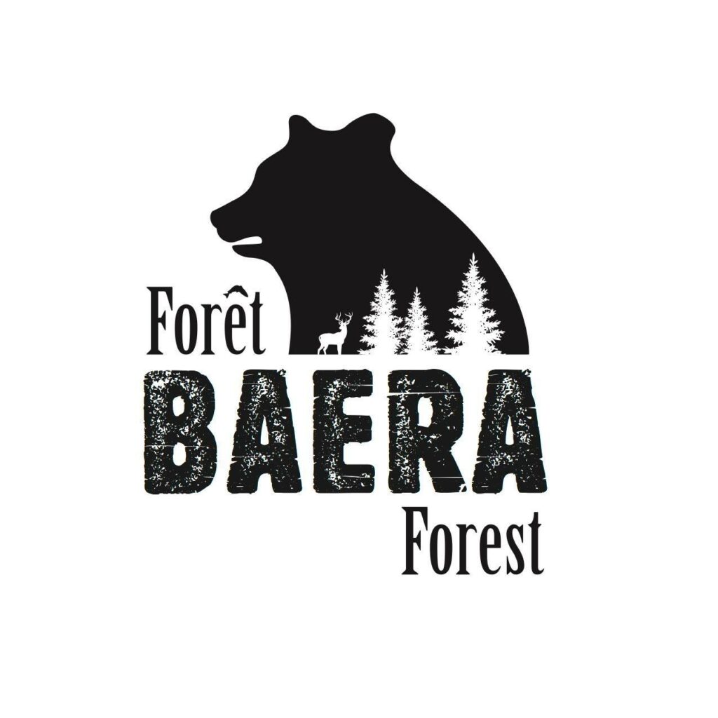 Logo - Baera