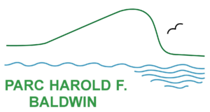 Parc Harold F. Baldwin