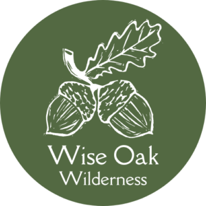 La Sagesse du Chêne // Wise Oak Wilderness
