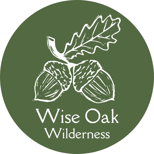 Logo - Wise Oak – École de savoir-faire en nature